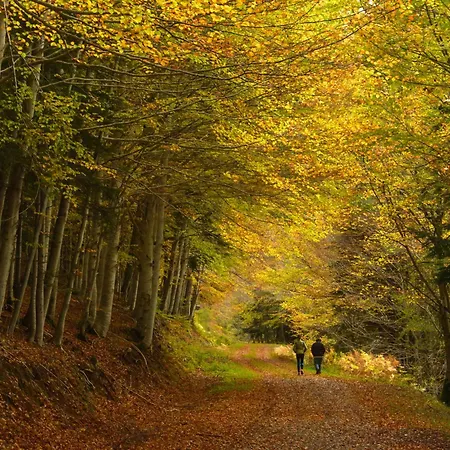 Lägenhet Altos De Argualas By Bevalle