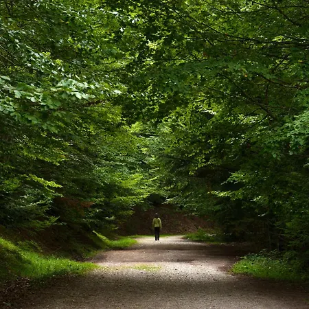 Altos De Argualas By Bevalle