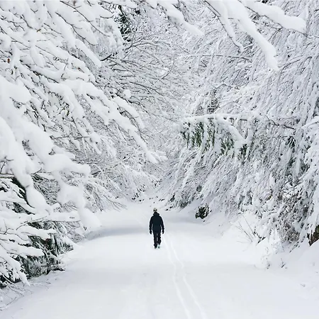 Altos De Argualas By Bevalle Lägenhet Panticosa