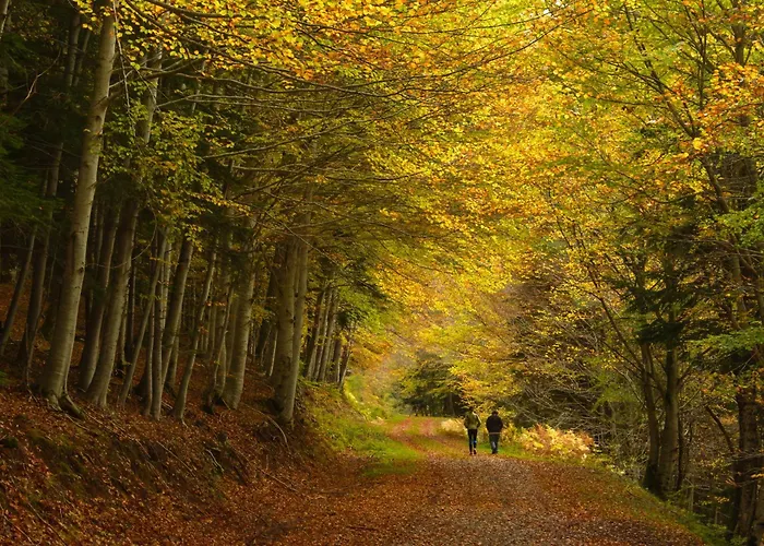 Lägenhet Altos De Argualas By Bevalle