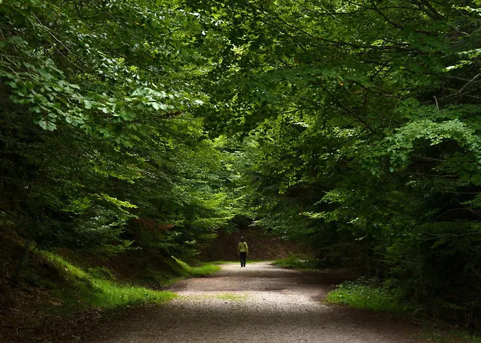 Altos De Argualas By Bevalle