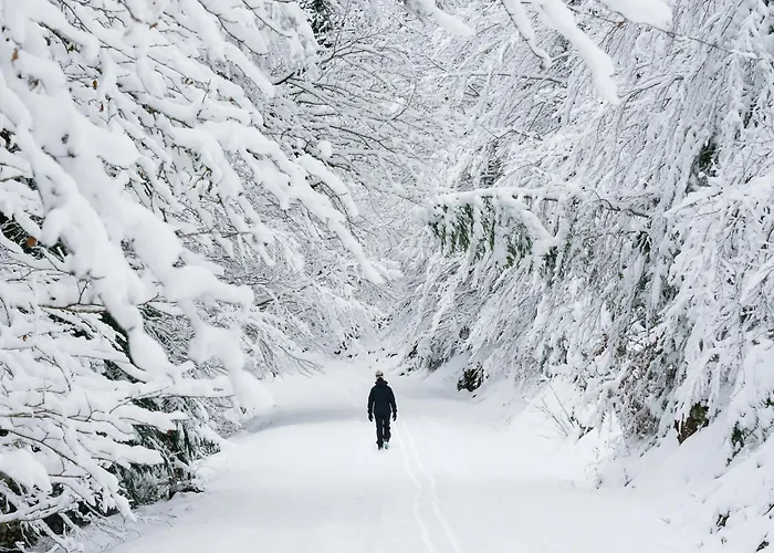 Altos De Argualas By Bevalle Lägenhet Panticosa
